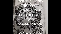 লজজাতুননেছা গায়েবী কিতাব কুফরী কালাম ফটো কপি বিক্রি করা হয়