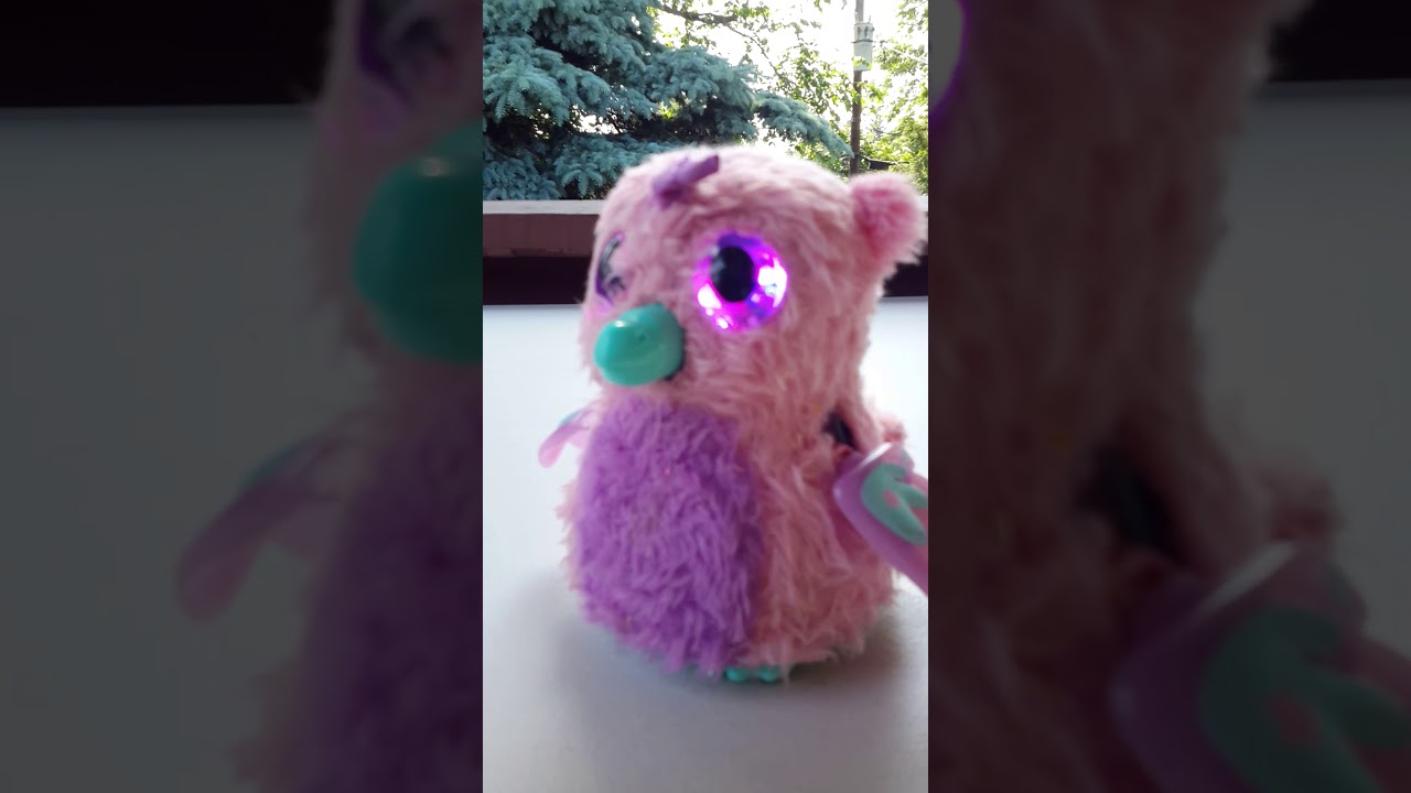 Hatchy birthday song