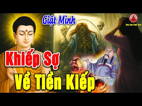 Luật Nhân Quả