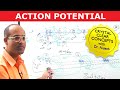 Action Potential in the Neuron - Physiology
