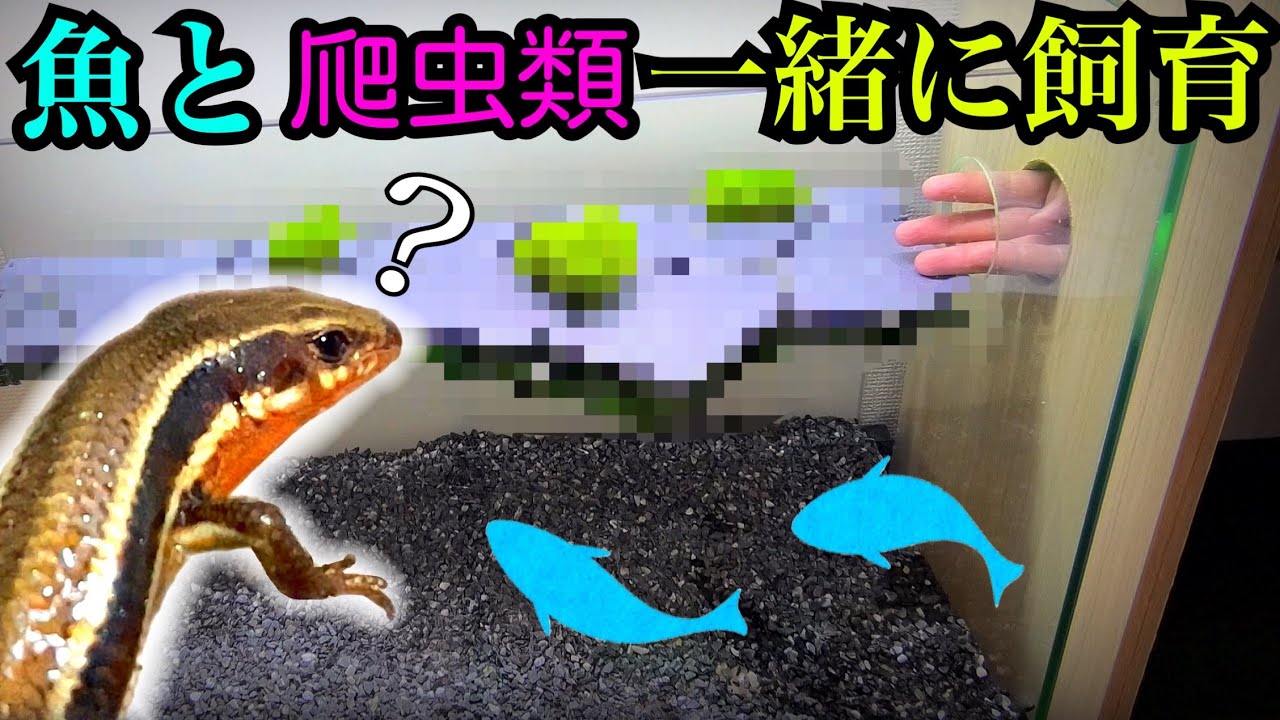 An amateur drills holes in a glass aquarium! Making an aquarium An amateur drills holes in a glass aquarium! Making an aquarium