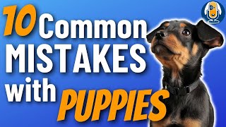 10 Common Puppy Mistakes: What To Do Instead! #160 #podcast