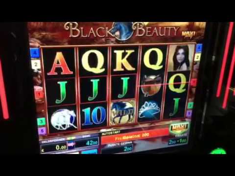 über 30 Minuten Freispiele Bally Wulff Maxi Play mit tollen Gewinnen JACKPOT CASH GAMES