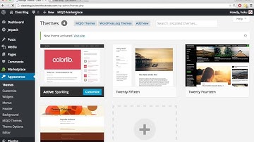 68   Installing theme and Easy Updates Manager Plugin