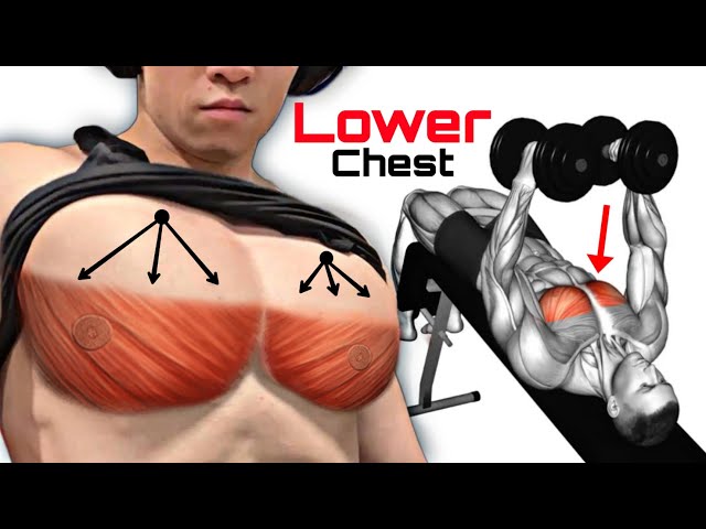 Lower Chest Workout - (8 Best Lower Chest Pecs Exercises) 