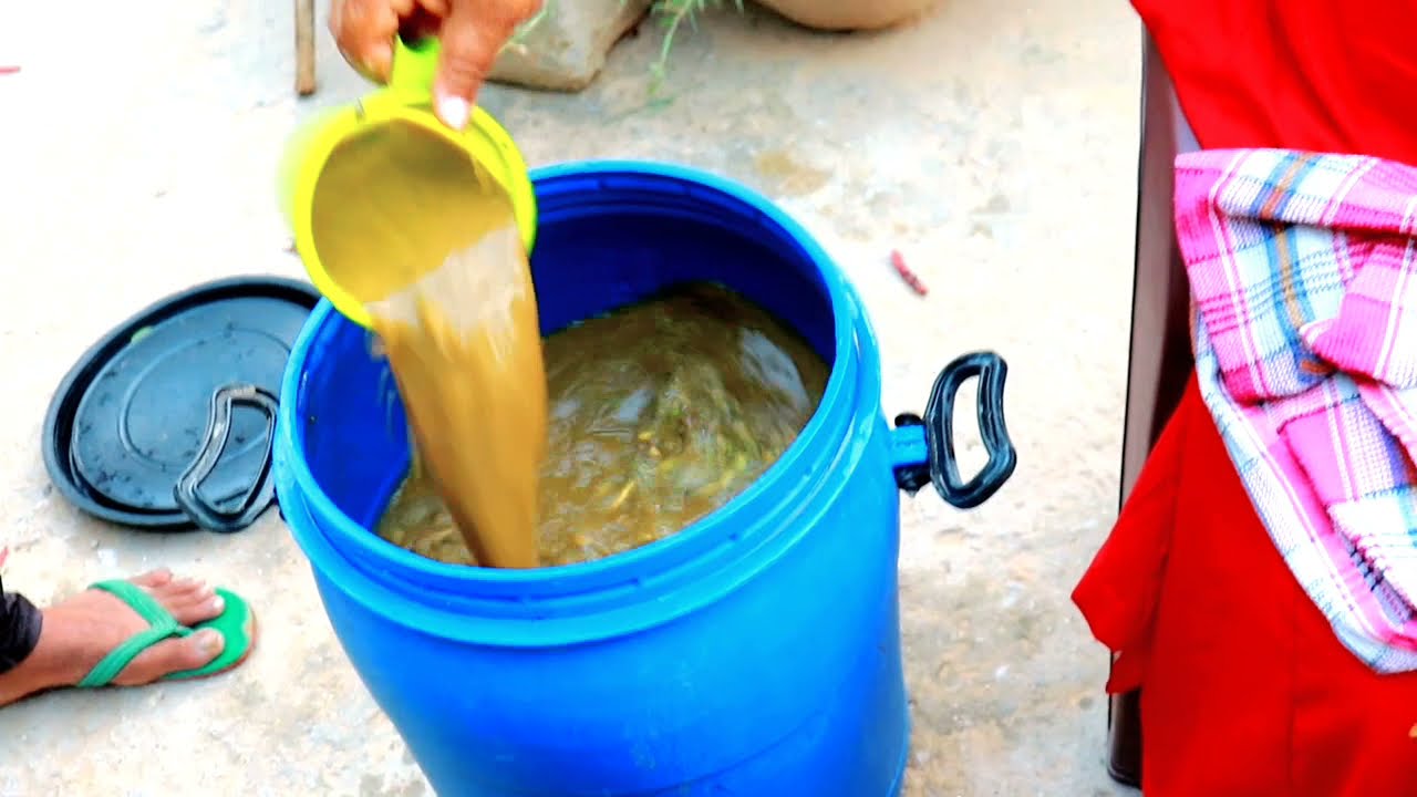 यह खाद रासायनिक खादों की करेगा छुट्टी।(घर में बनाए ऑर्गेनिक यूरिया एनपीके पोटाश खाद)