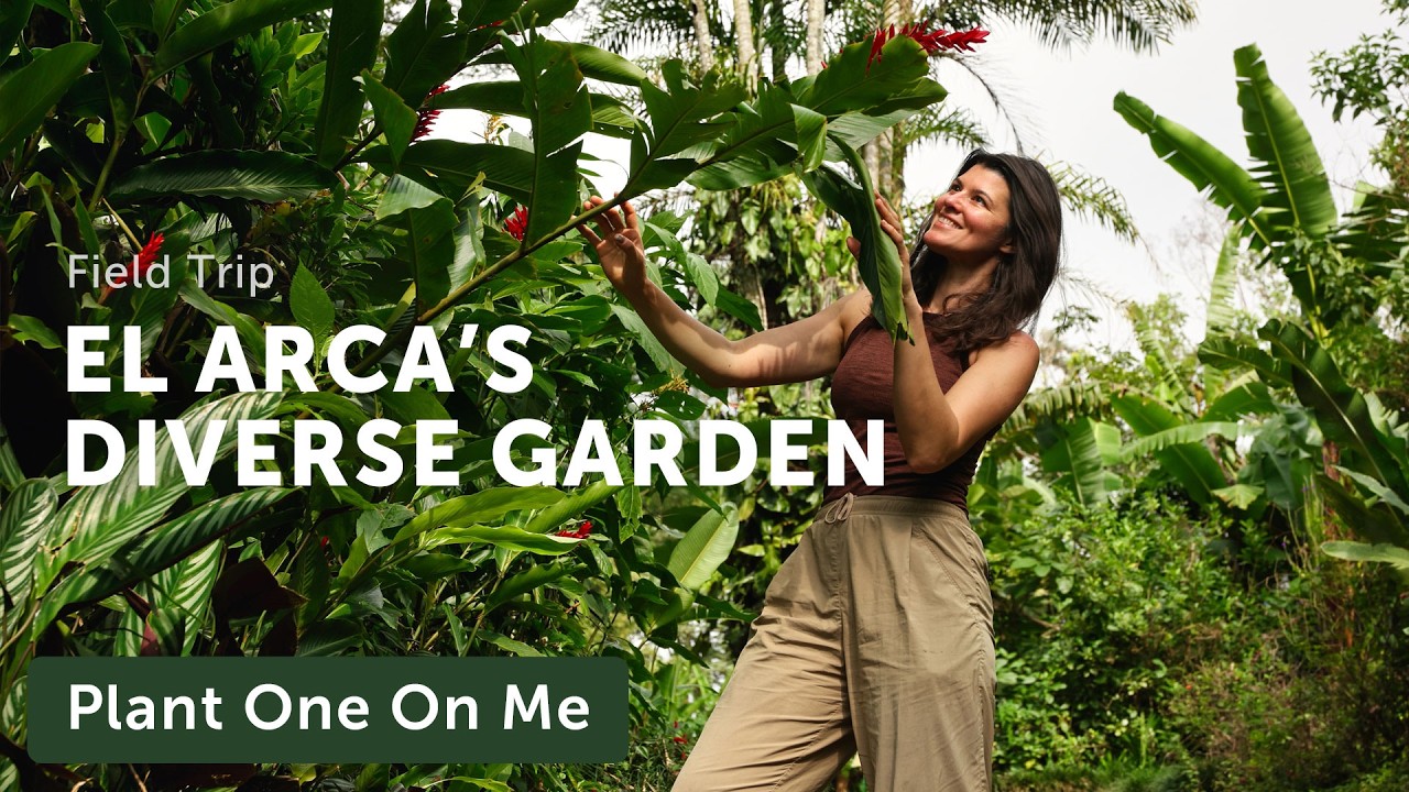 Внутри 20-акрового ботанического сада Коста-Рики, переполненного растениями — Эпизод 436