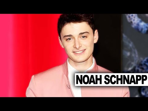 Noah Schnapp On LAST Season Of Stranger Things, Character Growth & More!  | Hollywire