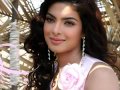 Best Of Priyanka Chopra Songs HQ (shah alam laksa comilla monohor gonj)=skype--alam_968