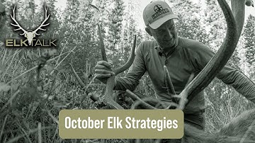 Post-Rut Elk Strategies (Elk Talk Podcast EP 155)