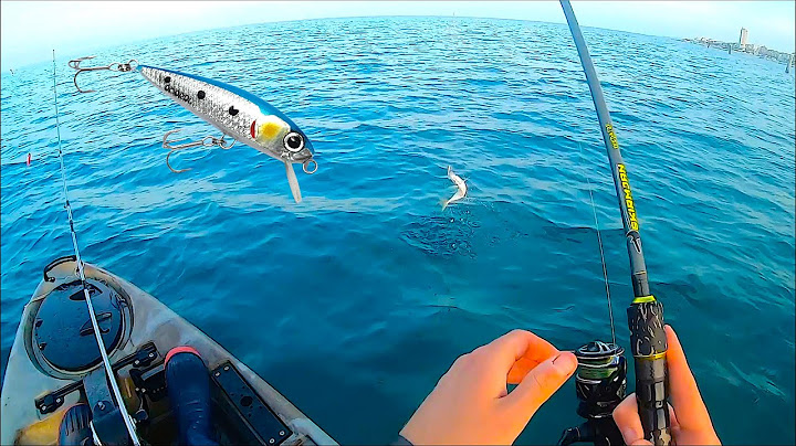 First AMAZING Kayak Sea Fishing Session of 2021! Lots of catches with Small Artificial Minnows C&R
