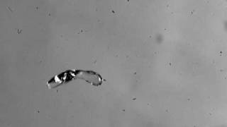 Droplet breakup