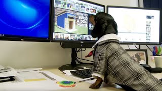 2017 Funny Office Christmas Video - Señor the Dachshund - Spawforths’ Christmas Helper