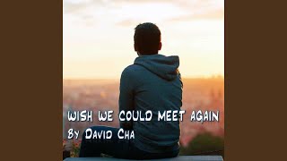 Wish We Could Meet Again