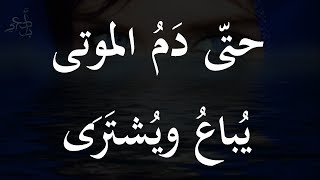 ما لم تقله زرقاء اليمامة | محمد عبد الباري