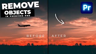 How To REMOVE Objects From VIDEO In Premiere Pro