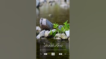 تلاوه رائعه للشيخ عادل ريان