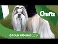 Utility Group Judging and Presentation | Crufts 2019