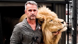 LION REUNION - Kevin Richardson's Lasting Bond | The Lion Whisperer by The Lion Whisperer 206,848 views 3 weeks ago 11 minutes, 30 seconds