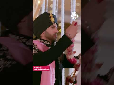 Galti किसी की थी पर Toot गया कोई और आखिर क्यों क्या है इस दर्दनाक Twist का असली राज | Tere Ishq Main