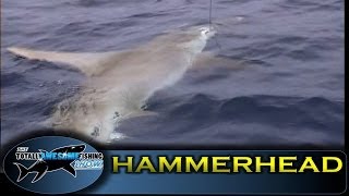 Hammerhead shark - Ep.2 - Totally Hammered -Vintage Series- Totally Awesome Fishing