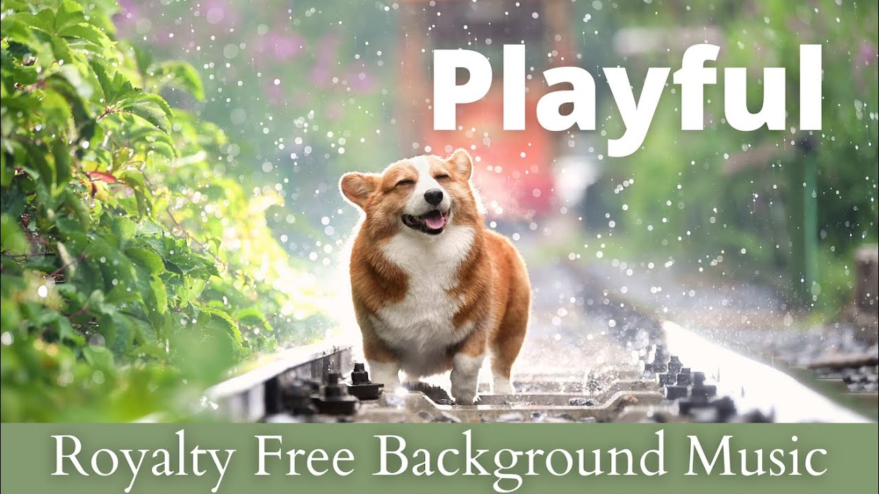 Playful Funny & Quirky Royalty free Background Music for Video YouTube