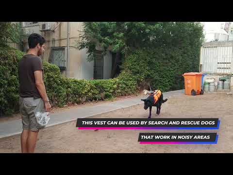 Remote Controlled Haptic Vest for Dogs