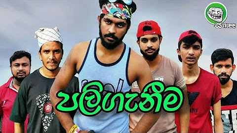 පලිගැනීම