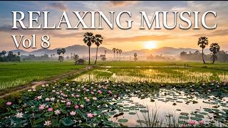 Relaxing Khmer Instrumental Music 🌾 Cambodian Countryside | Sleep, Study & Meditation. Vol 8