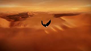 free, desert, sand dunes, hawk HD