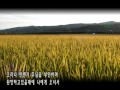 나를 위해 오신 주님 사랑의 손길