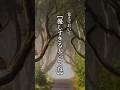 覚えておいて【優しすぎる人ってね】 #名言 #言葉 #心に響く言葉 #言葉の力