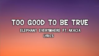 Elephant Everywhere - Too Goid To Be True (Lyrics) ft. AKACIA ( lyrical world release)
