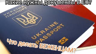 Украина, Польша, документы, визы, загранпаспорта, беженцы, война