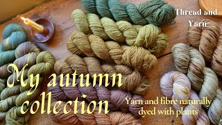 Autumn collection: a preview of my naturally dyed yarn and fibre 🍂✨️