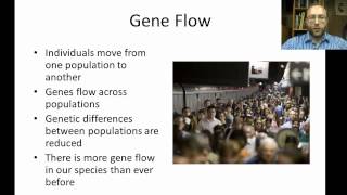 evolutionary forces and speciation