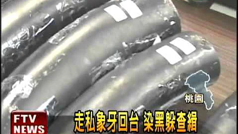 走私象牙回台 染黑躲查缉－民视新闻 - 天天要闻
