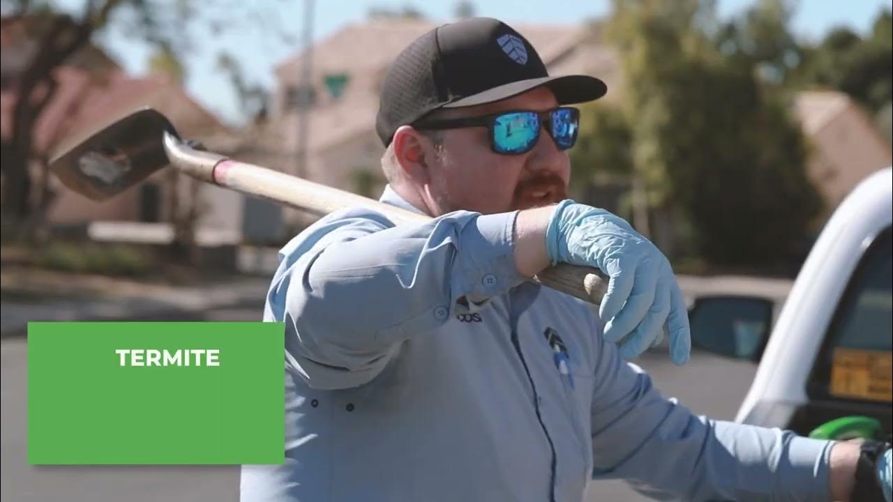 EcoShield Pest Solutions Termite Monitoring and Protection Service