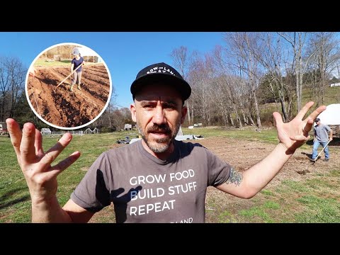 Video: Marsvingjødsel - Hvordan bruke marsvingjødsel på hager