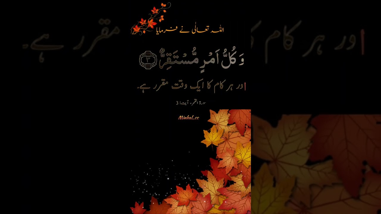 Islamic video |Golden words 