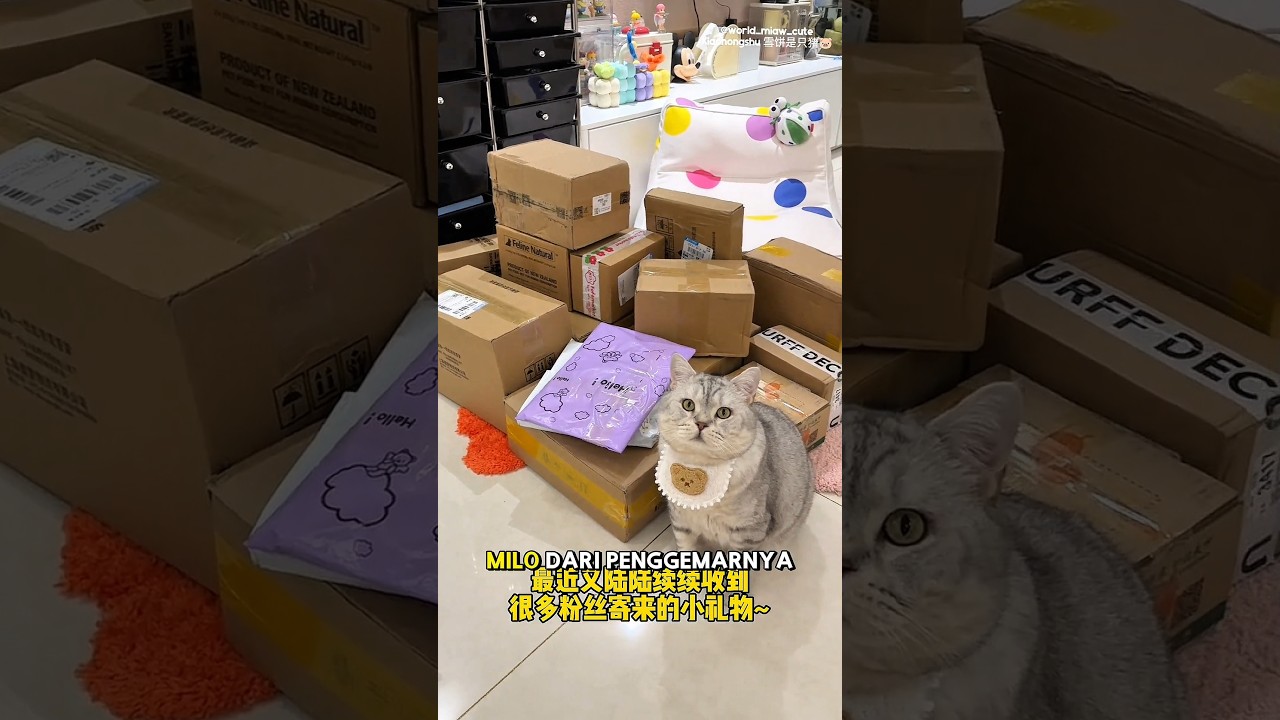 Unboxing hadiah milo😻🎉 