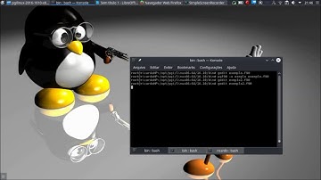 High Performance Fortran