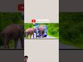 Gajodhar singh SI on Duty #funny #comedy