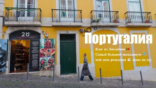 картинка: Влог из Лиссабона 🇵🇹: Самый большой океанариум 🐬, мой день рождения 🎂, цены на еду