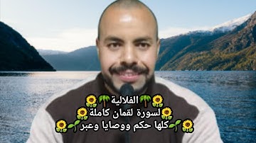 🌱الفلالية🌻لسورة لقمان كاملة🌴كلها حكم ووصايا وعبر🌱