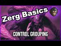 Beginner Starcraft 2 Guides: How To Set Control Groups