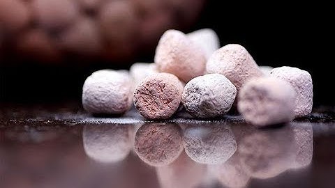 Những loại vật liệu lọc thần kỳ sẽ giúp bể cá trong vắt khỏe mạnh