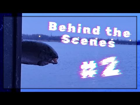 2. Behind the Scenes | Vysvětlení Příběhu hry Among Us | DOKTOŘI