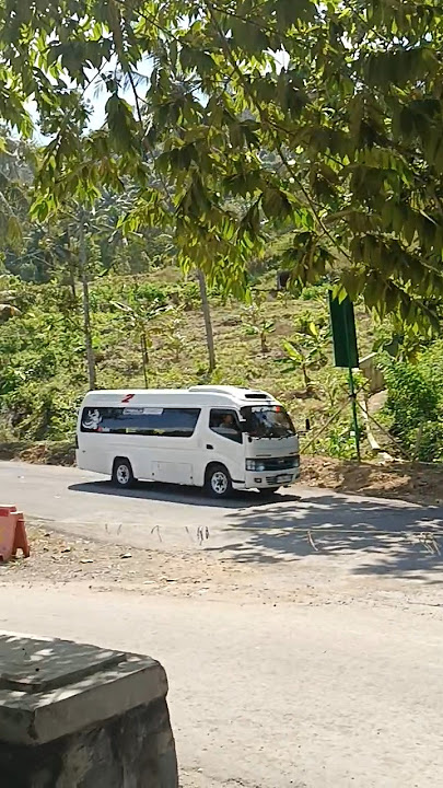 Hunting Bus Random Tgl 04 Agustus 2024