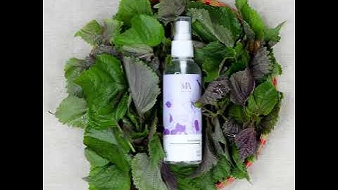 COMING SOON - TÍA TÔ HYDROSOL MỘC AN